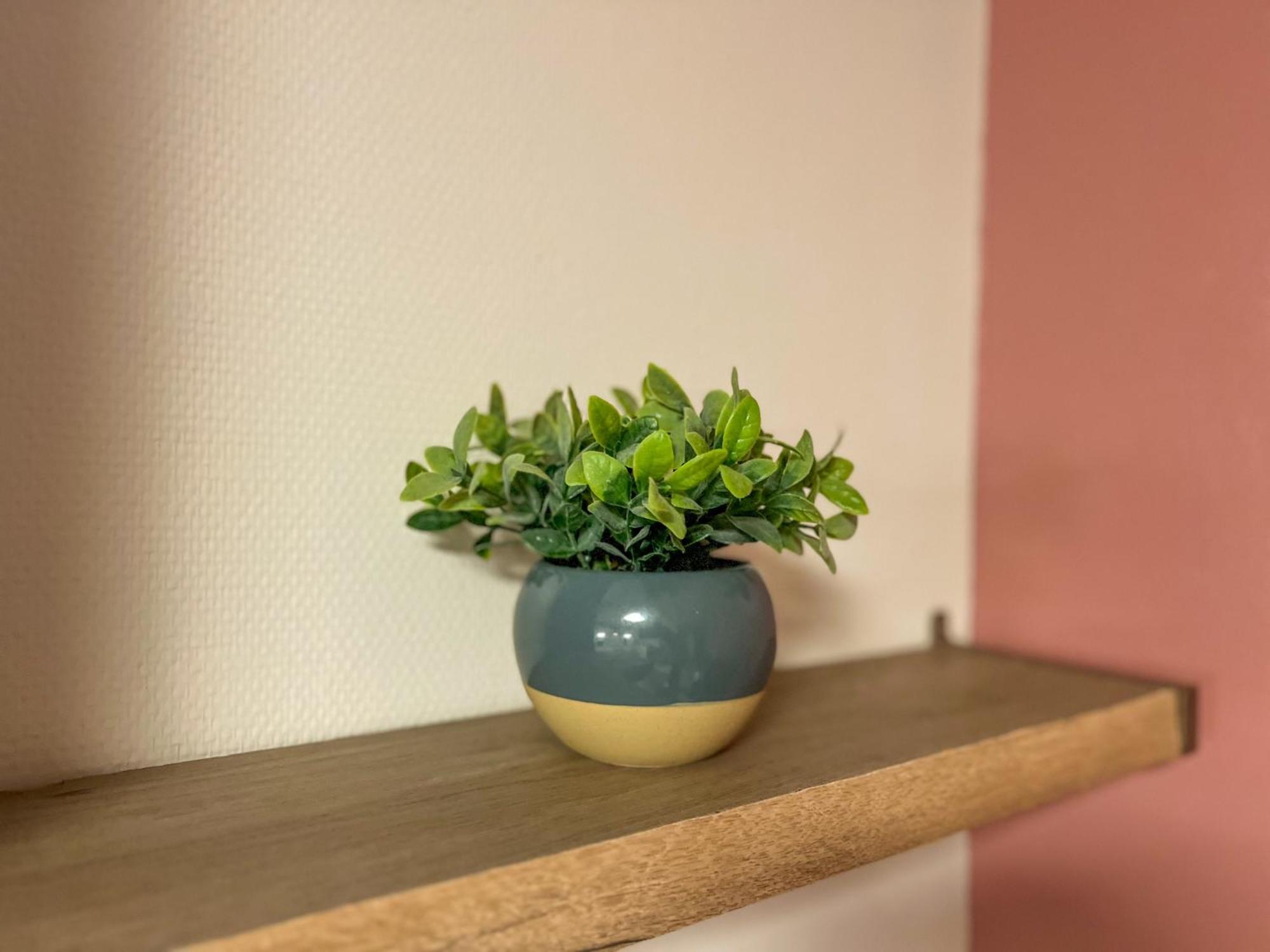Le Montaigne - Wifi Fibre- Coeur Du Centre Ville-Property Rental Nm Perigueux Ngoại thất bức ảnh